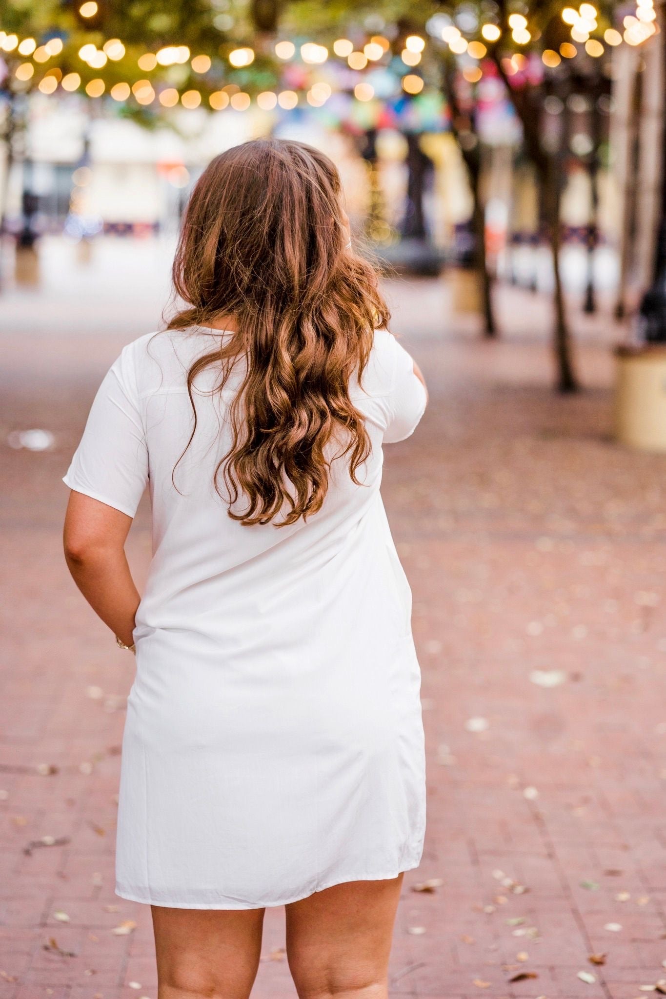 Jackie Embroidered Dress