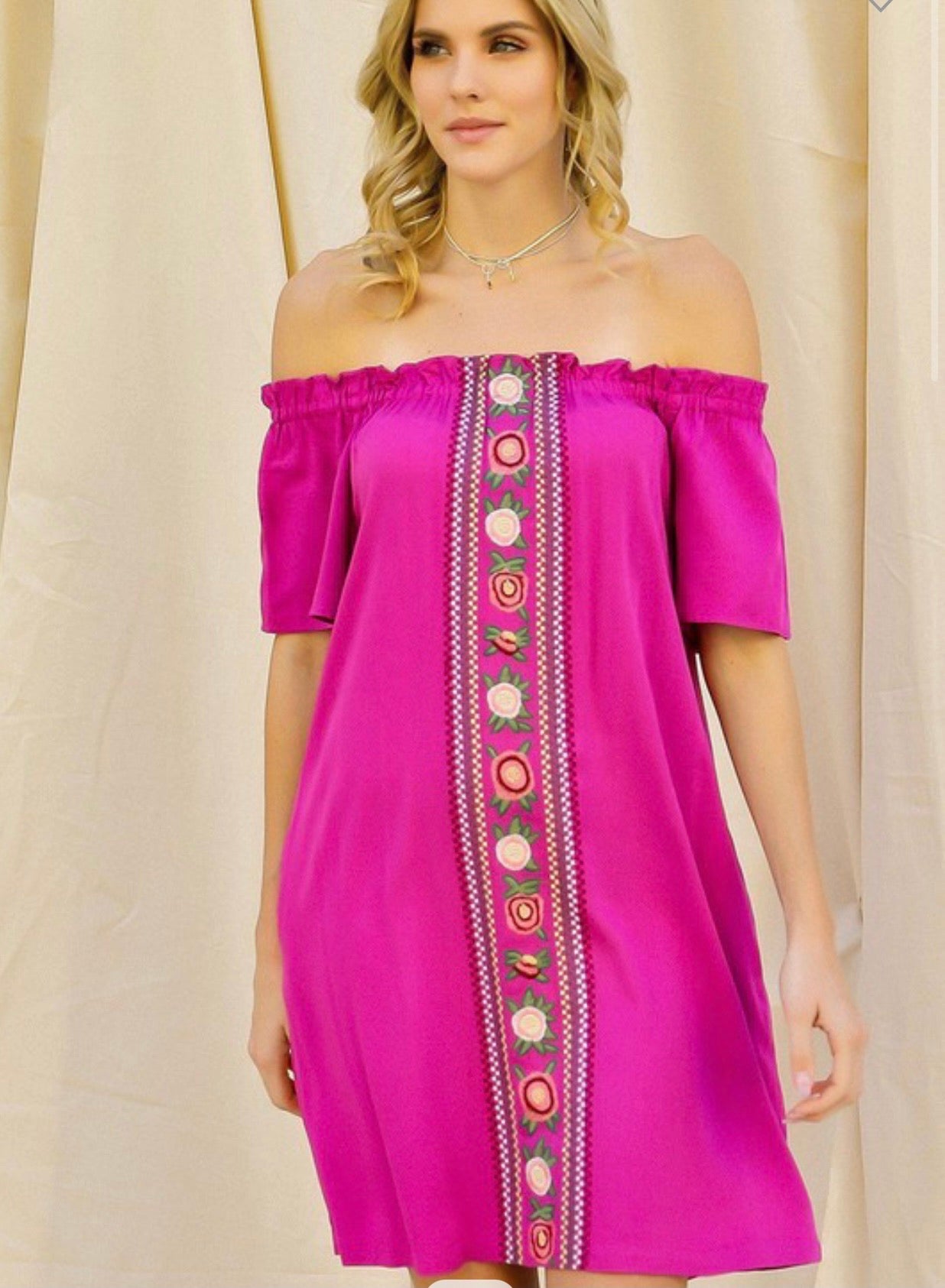 Feeling Fancy Embroidered Dress